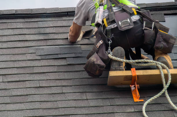 Best Custom Trim and Detailing for Siding  in Braddock, VA